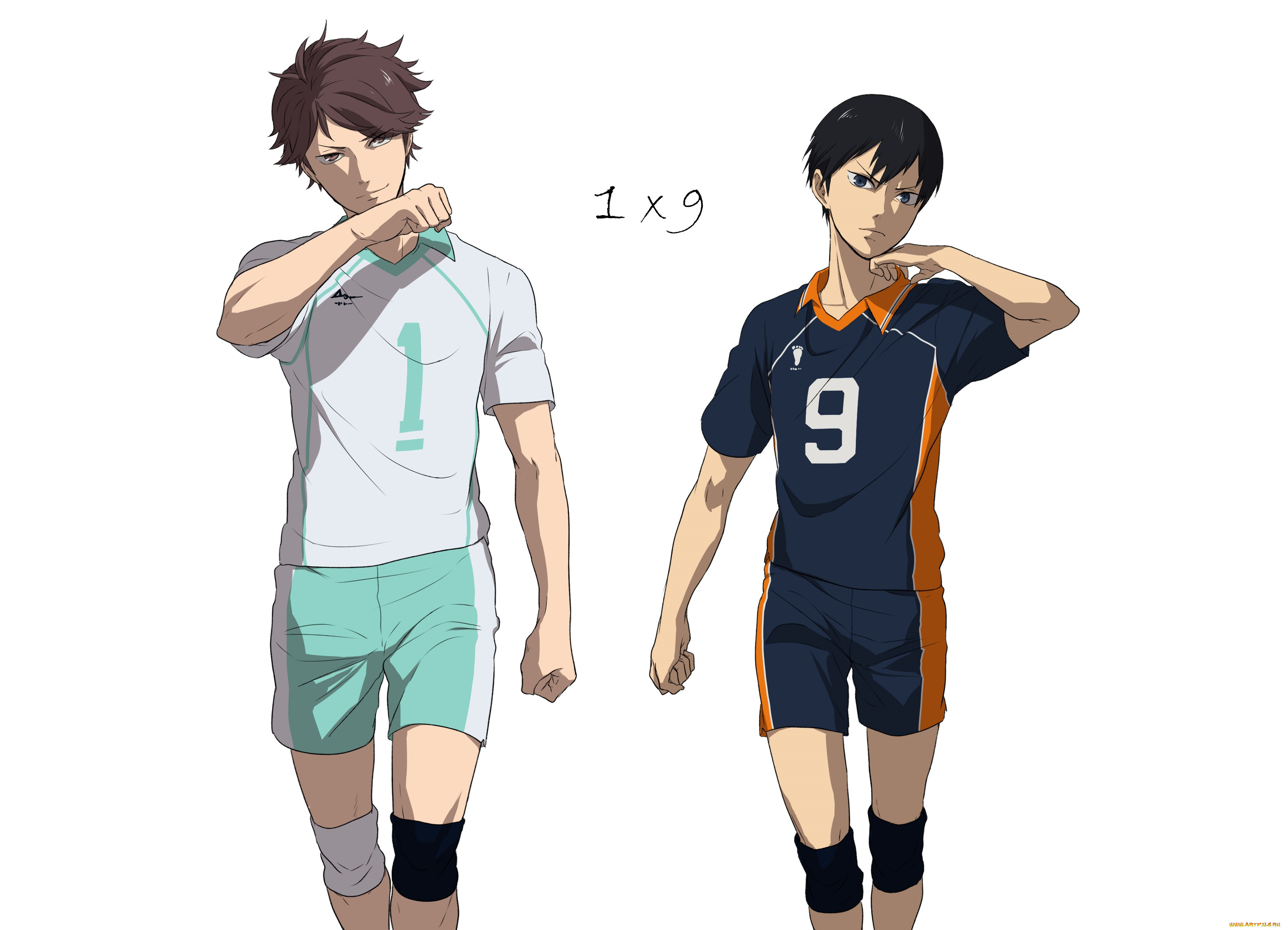 , haikyuu, , 